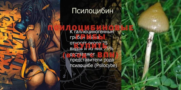 бутират Абинск