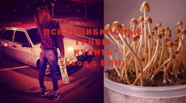 бутират Абинск