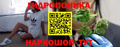 крисы Комсомольск-на-Амуре