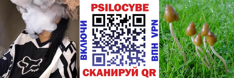 Галлюциногенные грибы мицелий  Костомукша 