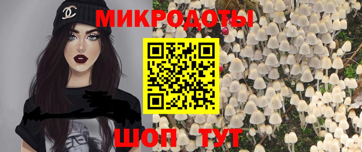 Псилоцибиновые грибы Psilocybe Костомукша